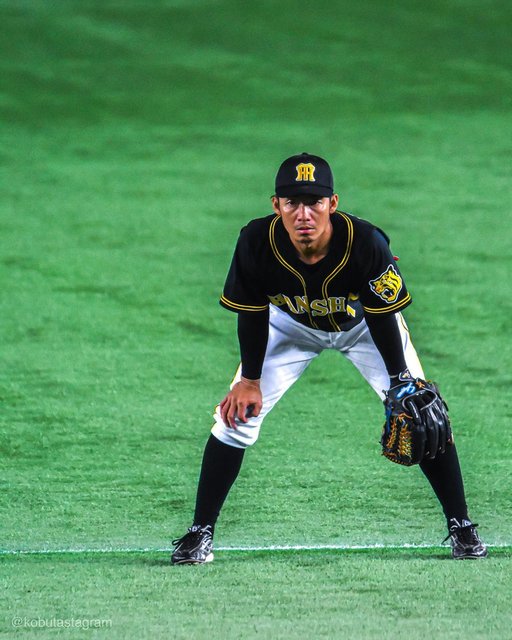 Takatada Furukawa on Instagram: “.ロッテでも活躍を#鳥谷敬#chibalotte#hanshintigers#D500#TAMRON150600#Lightroomcc#待ってるぞプロ野球#今こそ写真の力を#今こそ野球の力を” (120347)