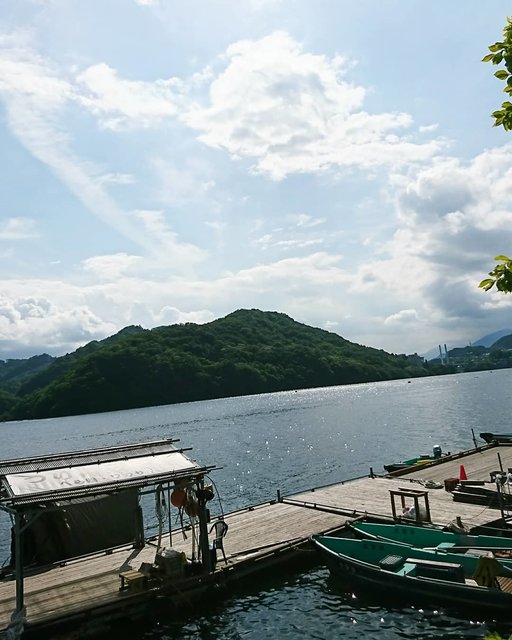 五宝亭 on Instagram: “魚が動いてる今、、、 ※ ※ 産卵のこの時期だけは勘弁してほしいと ※ ※ 何度も話したんですが、、、 ※ ※ 行政の方たちは聞く耳をもってくれませんでした? ※ ※ 5月24日～1日20㎝づつ水位が下がるようです、、、 ※ ※ ※ 力不足で申し訳ありません。。 ※ ※ ※ ※…” (120441)