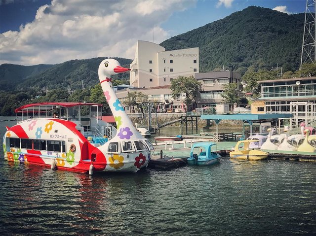 Yukiko Yokoo’s Instagram post: “#ニュースワン丸” (120448)