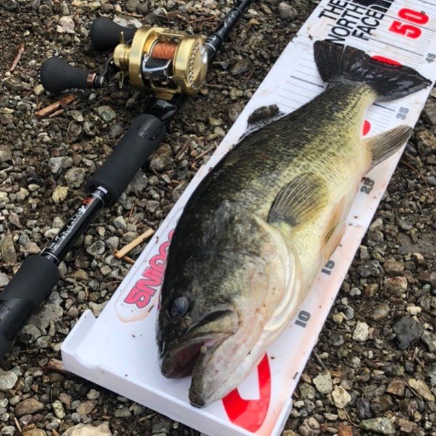 up field on Instagram: “.#相模湖バス釣り#河口湖バス釣り#津久井湖バス釣り#山中湖バス釣り#芦ノ湖バス釣り#西湖バス釣り#奥多摩湖バス釣り#多摩川#相模川#バス釣り#TULALA#DRT#タイニークラッシュ#クラッシュ9#クラッシュゴースト” (121385)