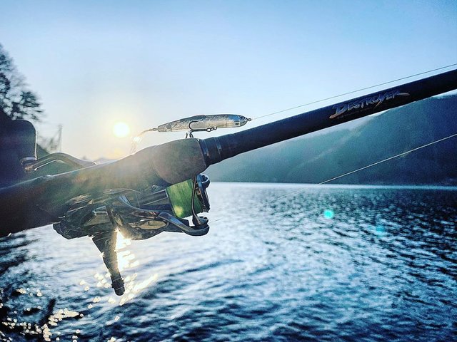 狩野 陽(Akira Kano) on Instagram: “表層ワカサギパターンに期待してましたが、まだまだベイトのレンジが深くなかなかシビアな西湖でした? 陸王ダービーは一旦延期となりましたが、また懲りずに練習しに来ます！ ・ ・ #Megabass #mymegabass #lurefishing #bassfishing…” (122617)