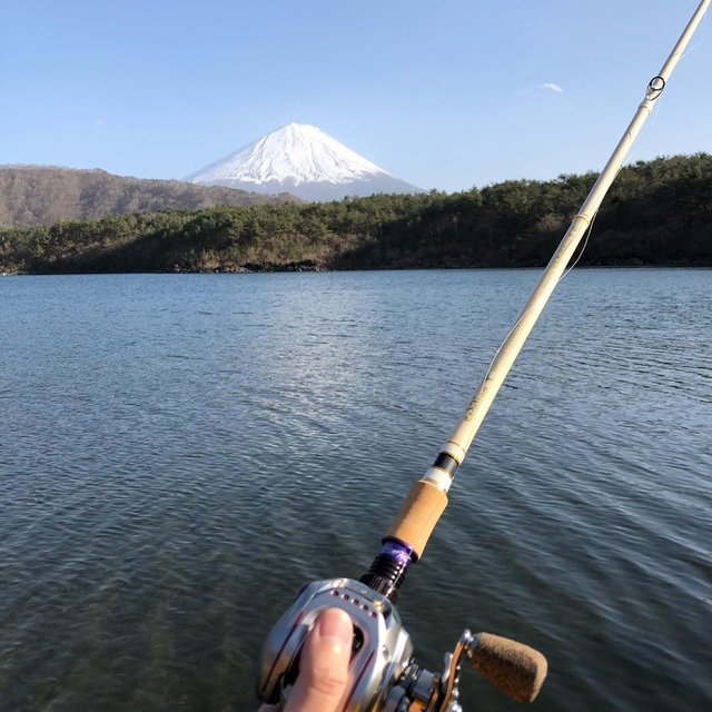 Wotamichi’s Instagram profile post: “今年の初バス釣りに行ってまいりました‼️富士山綺麗でした‼️ニューロッドのホワイトファルコン7、いい感じでした‼️以上‼️ #まだ早過ぎたw#バス釣り #バス釣り好きな人と繋がりたい #西湖バス釣り #初バス釣り” (122625)