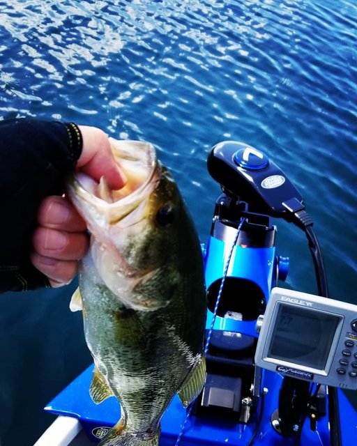 マコム on Instagram: “#西湖バス釣り #バスフィッシング #エレキ #ローボード #子バス#バスルアー今日の西湖また子バス?4本?修行中?” (122688)
