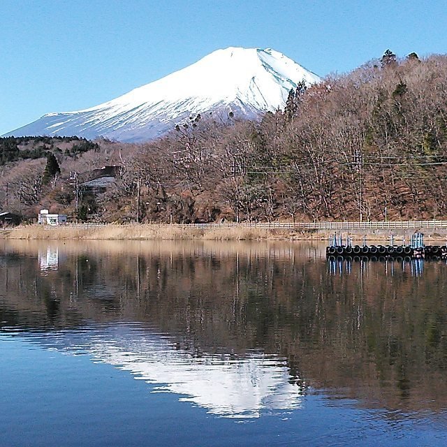 T.HOSHINO on Instagram: “山中湖より、逆さ富士?#山中湖バス釣り #ブラックバス釣り #バスフィッシング #バス釣り #陸っぱり#平野ワンド #景色綺麗だった #富士山 #富士五湖 #山中湖 #湖面 #逆さ富士 #景色 #雪山 #景色最高 #癒される” (123283)