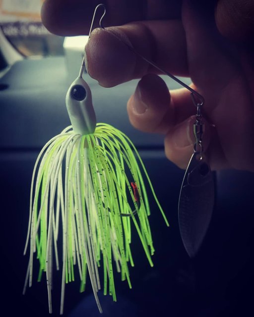 Tetsuya Ichikawa’s Instagram profile post: “計508円ヘッドワイヤーブレード + ラバースカート#deps #spinerbait #minibros #デプス #スピナーベイト #ミニブロス #シングルウィロー #ホワイトチャート #ライムチャート #チャート #チャット #ちゃと帰った” (124268)