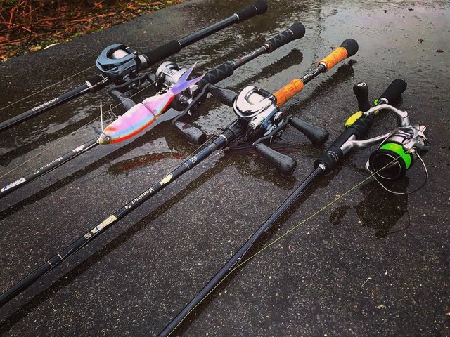 tokiya no,8173 on Instagram: “今日も今日とてno 8173#バンタム170uh #モンストロ77 #モンストロ74 #エクスプライド265ulプラス #スタジオコンポジット  #コンセプトd #ストロングマインド #バス釣り #bassfishing” (125122)