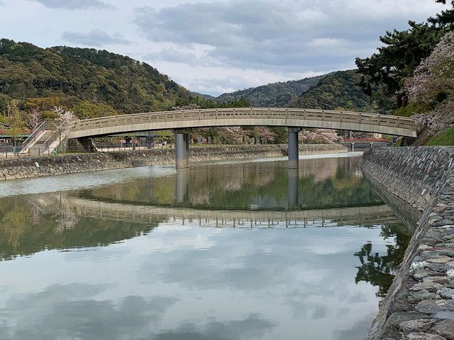 あまるべマリン on Instagram: “・思い通りにいかないリフレクション?(2020/4/11)#橘橋  #橋  #塔の島  #宇治川#リフレクション  #宇治のまちあるき#宇治のまち  #源氏タウン#私の好きな宇治  #宇治市#宇治フォトグラム  #カメラ男子#写真好きな人と繋がりたい” (125383)