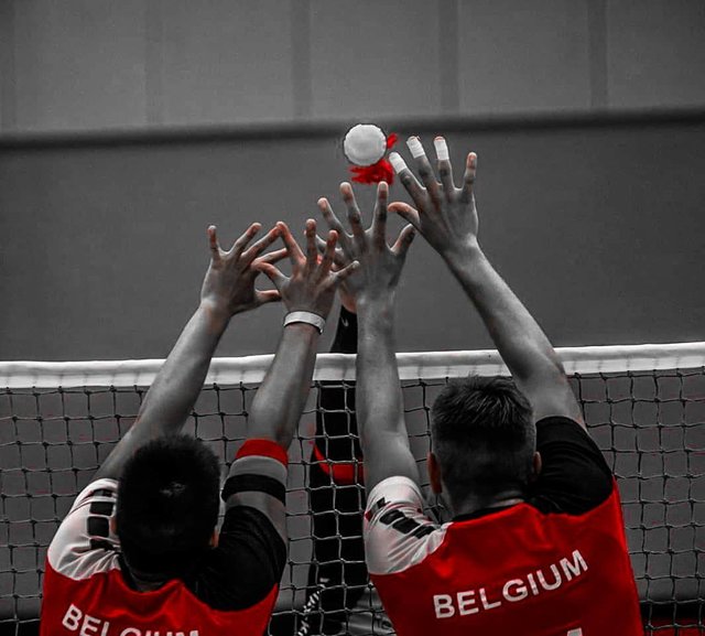 Indiaca Addicted on Instagram: “Great Belgian block being strong!???????? ???? Stay strong guys and look forward!☺️☺️ Check also our new Facebook series where we will be…” (131610)
