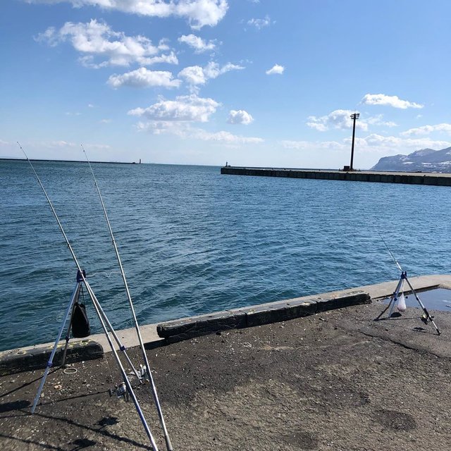 Taka on Instagram: “今日も小樽で?開始1時間くらいはイヤ〜な?感じでしたが、なんとか先週のリベンジできました??? #小樽港#小樽第2埠頭 #小樽第2号埠頭 #クロガシラ #マガレイ #ギスカジカ #ツブ貝” (131627)