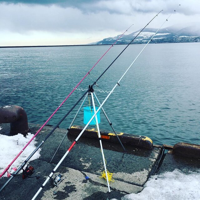 Pfutarou on Instagram: “2020 2/2 #釣り#北海道#北海道釣り#小樽釣り#小樽#小樽港 厩町岸壁#ヒトデ 1匹#釣り好き#投げ釣り#シマノ最近釣れないなー” (132741)