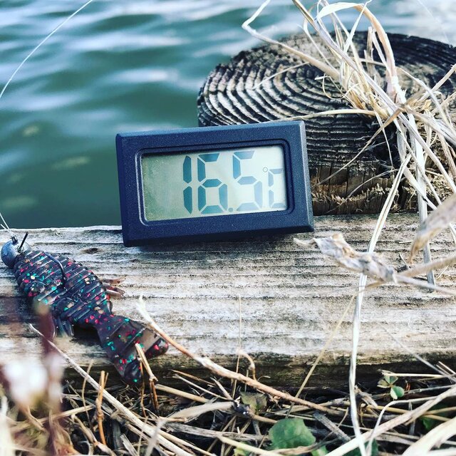 カスブラ on Instagram: “野池の午後ポカポカすぎる件。w  #霞ブラザーズ  #バス釣り  #霞ヶ浦  #北浦  #霞ヶ浦水系 #オカッパリ #bassfishing  #春バス釣り #ミノーパターン #シャロードリーム#ワカサギ  #シラウオ #リグ #水温  #スポーニング” (133405)