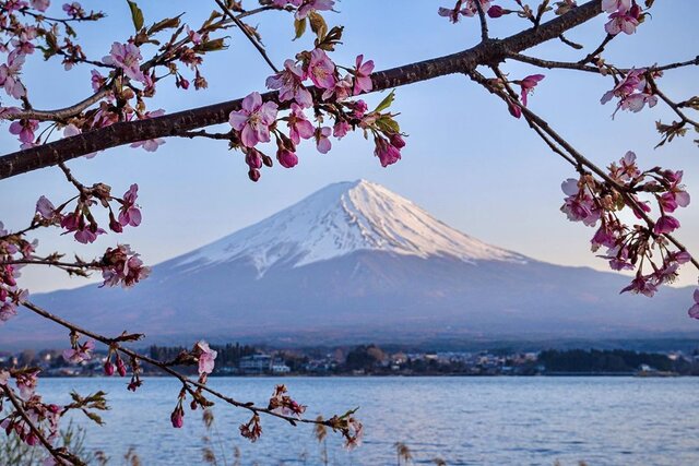 chao2416 on Instagram: “早咲きのサクラ?﻿ 撮影日：2020.3﻿.26 撮影地：山梨県富士河口湖町﻿ ﻿ この日は帰りに夕刻の湖畔へ﻿ 早咲きの桜が開花していました﻿ まだ蕾もある咲き始めの桜も趣がありますね ﻿ 今日は朝から雪が降り続いています❄️﻿ ﻿ #富士山﻿ #富士山が好き ﻿…” (133407)
