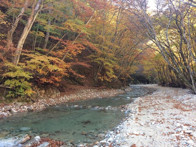 Login 窶｢ Instagram (137851)