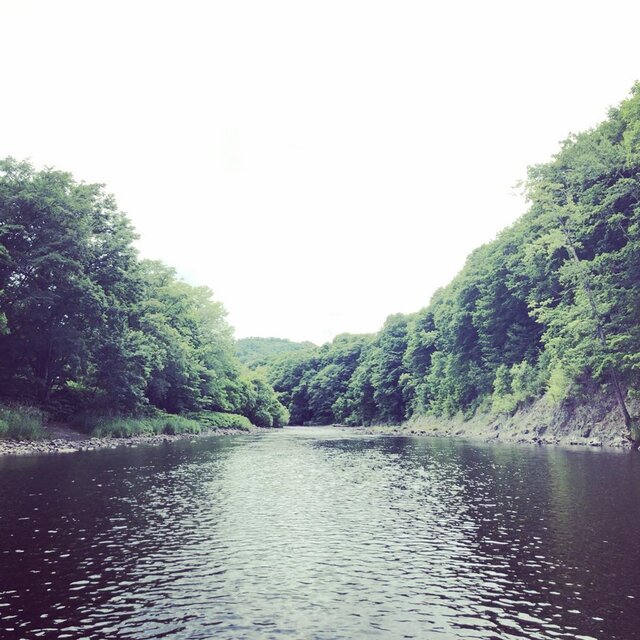 Login 窶｢ Instagram (139387)