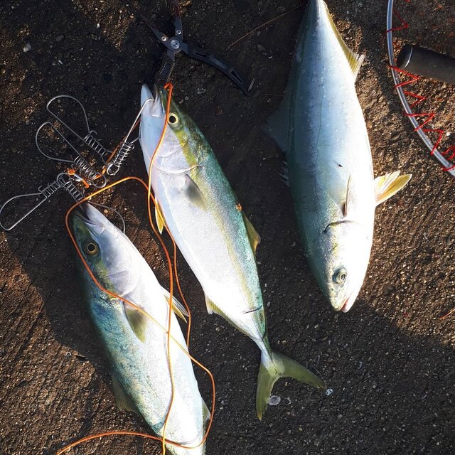 Login 窶｢ Instagram (141546)