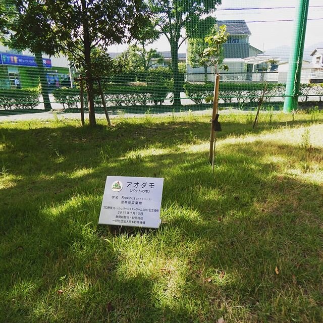 Login 窶｢ Instagram (150743)
