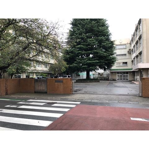 Login 窶｢ Instagram (157437)