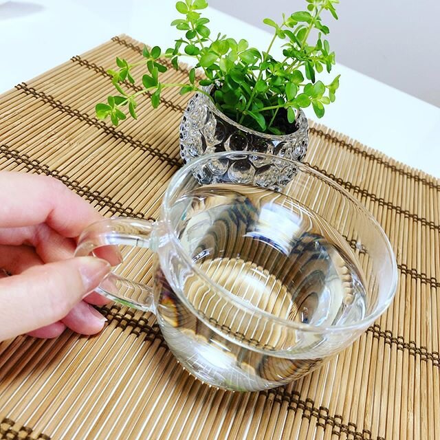 Login 窶｢ Instagram (160704)