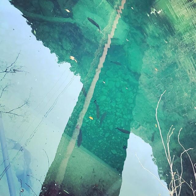 Login 窶｢ Instagram (162430)