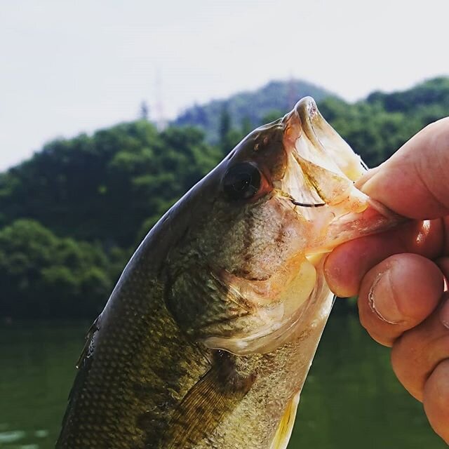 Login 窶｢ Instagram (162820)