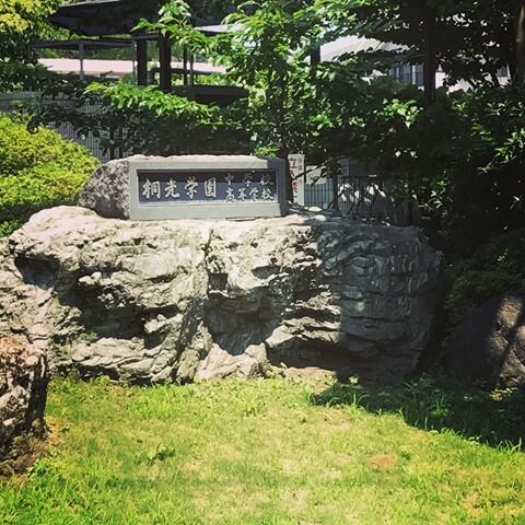 Login 窶｢ Instagram (164036)