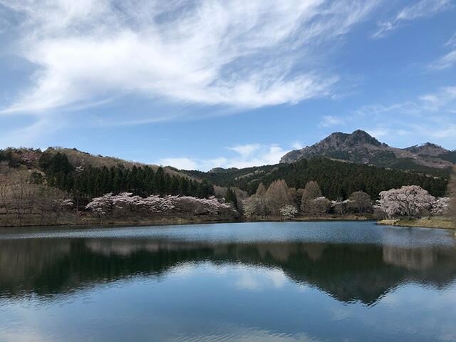Login 窶｢ Instagram (165319)