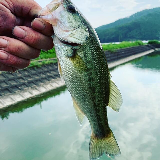 Login 窶｢ Instagram (165321)