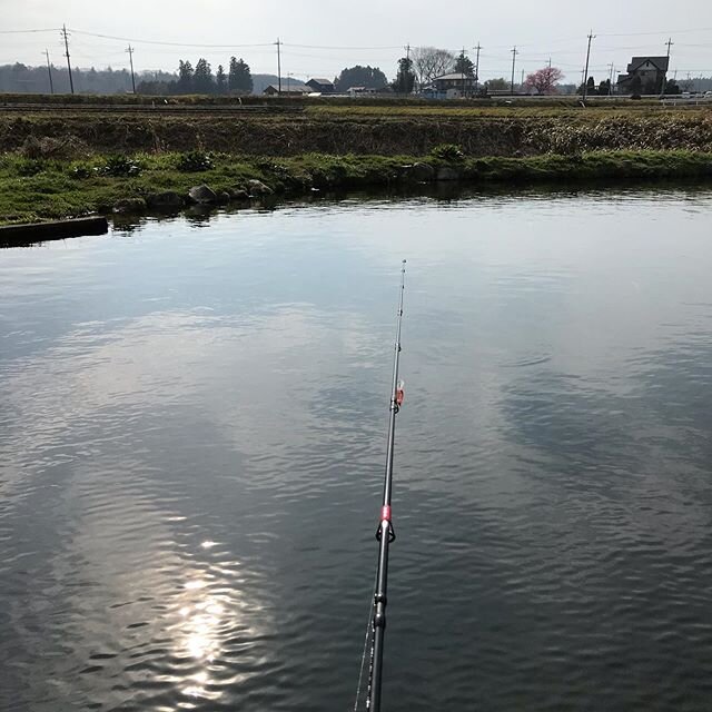 Login 窶｢ Instagram (165322)