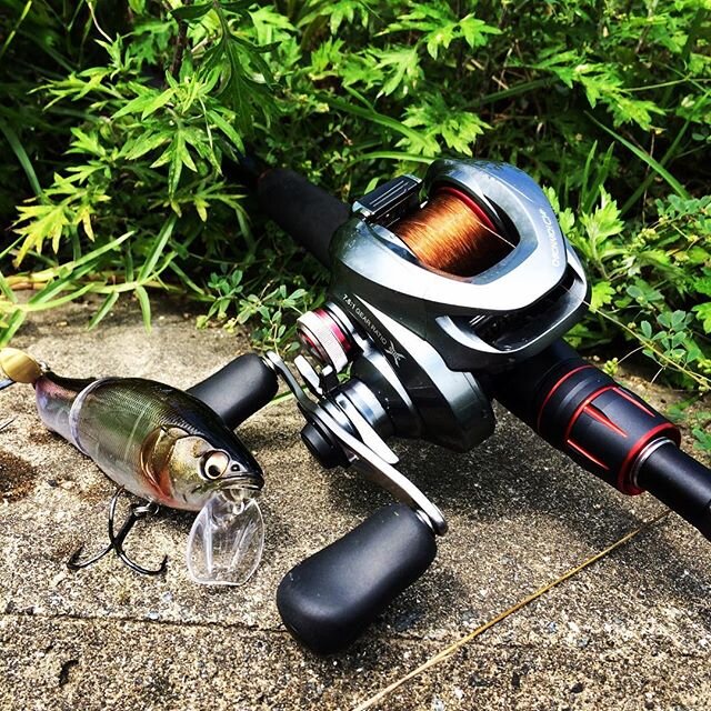 Login 窶｢ Instagram (166773)