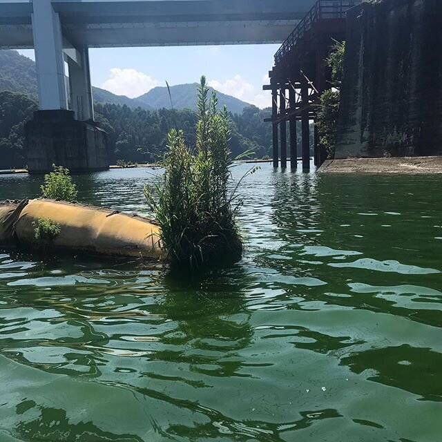Login 窶｢ Instagram (167918)