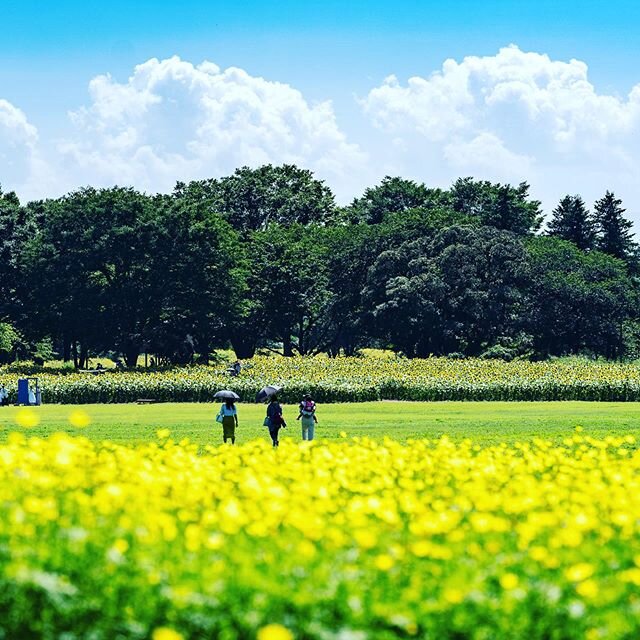 Login 窶｢ Instagram (168183)
