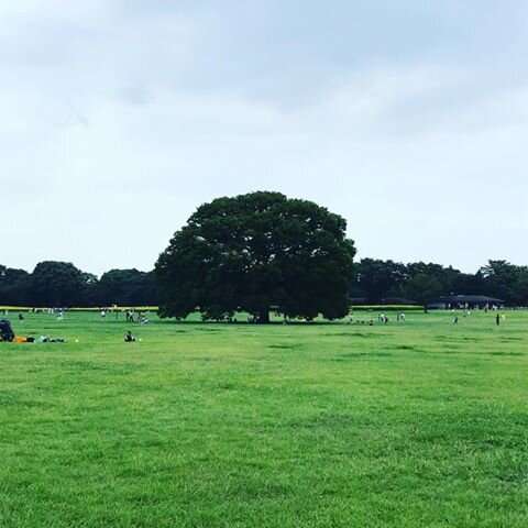 Login 窶｢ Instagram (168185)