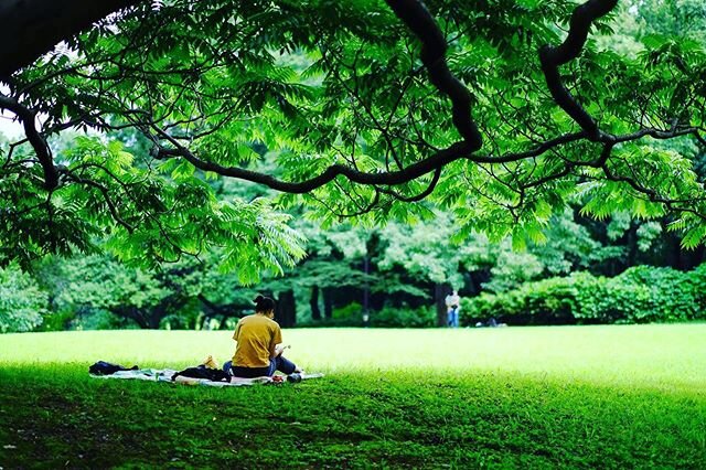 Login 窶｢ Instagram (168196)