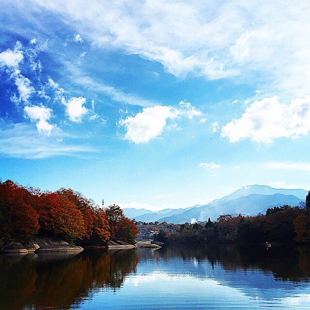 Login 窶｢ Instagram (169291)
