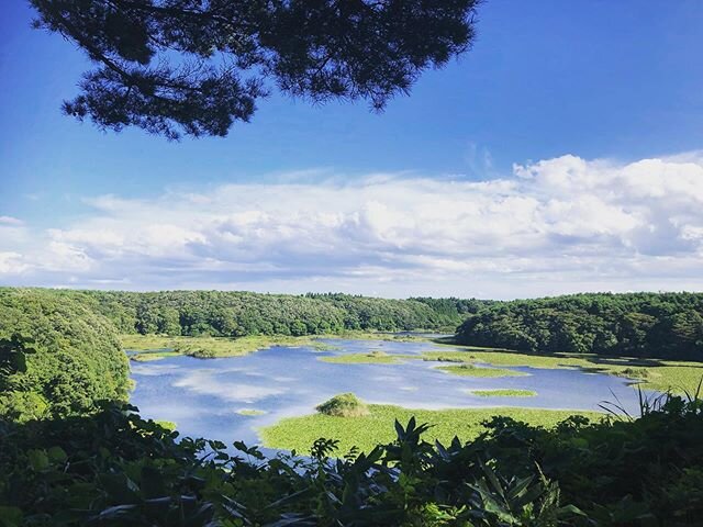 Login 窶｢ Instagram (169591)