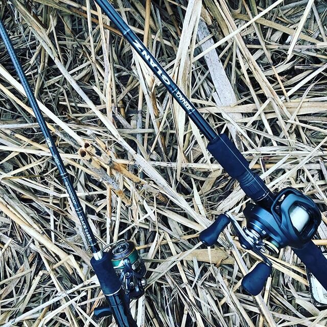 Login 窶｢ Instagram (169600)