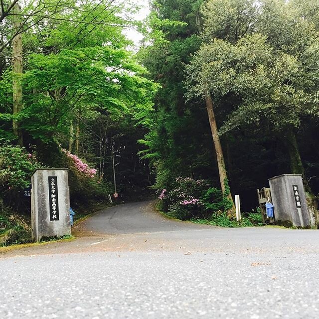 Login 窶｢ Instagram (170998)
