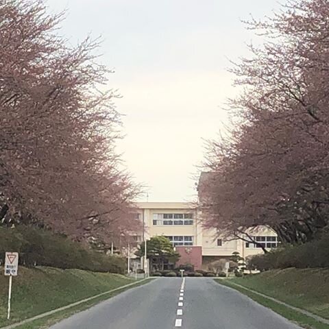 Login 窶｢ Instagram (171382)