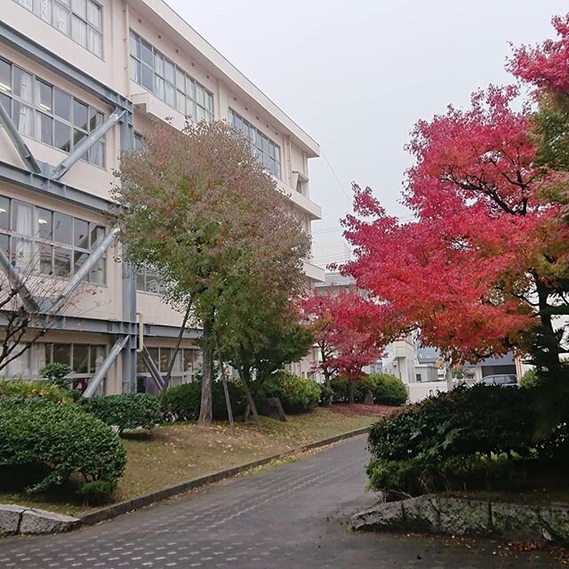 Login 窶｢ Instagram (171681)