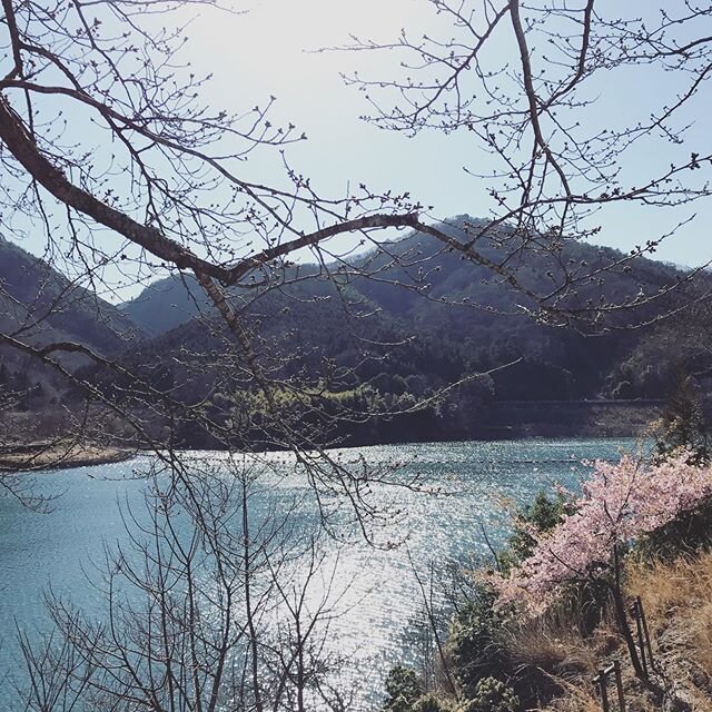 Login 窶｢ Instagram (171782)