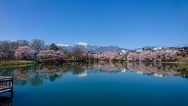 Login 窶｢ Instagram (175322)