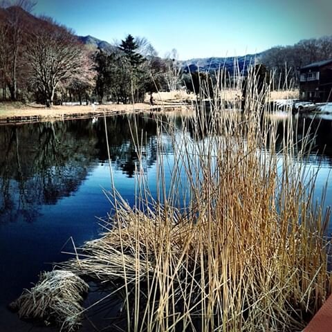Login 窶｢ Instagram (175323)