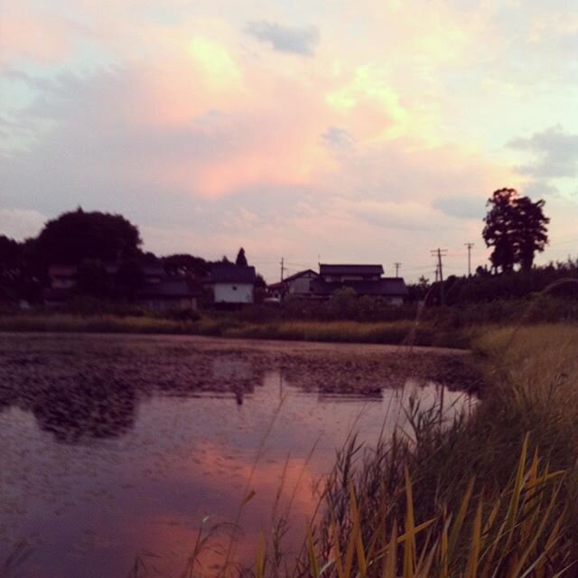 Login 窶｢ Instagram (177137)