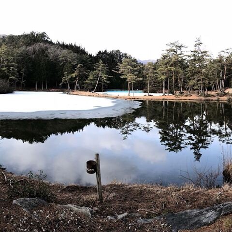 Login 窶｢ Instagram (177138)