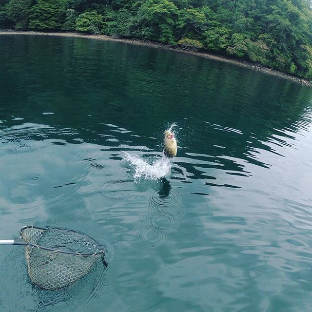 Login 窶｢ Instagram (178356)