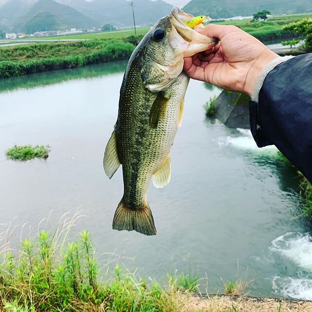 Login 窶｢ Instagram (179475)