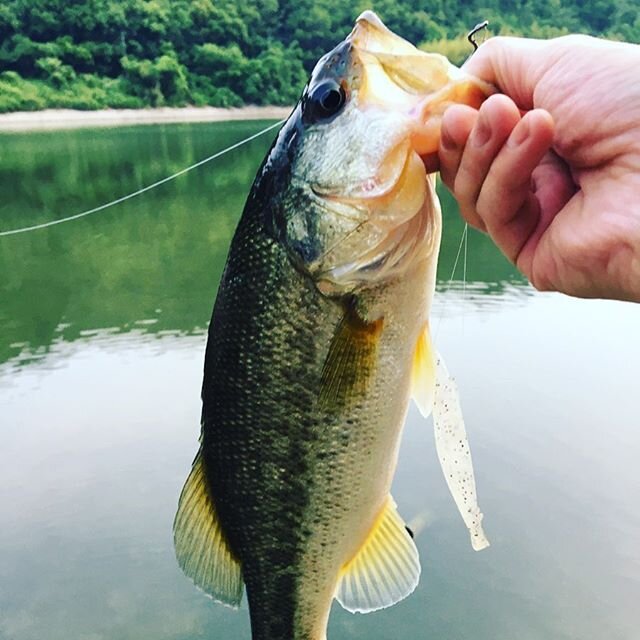 Login 窶｢ Instagram (179488)