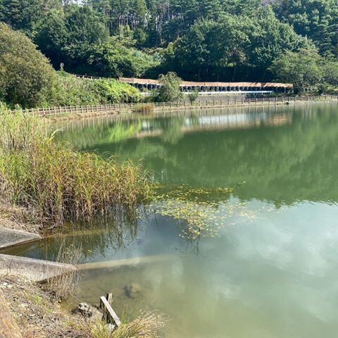 Login 窶｢ Instagram (181066)