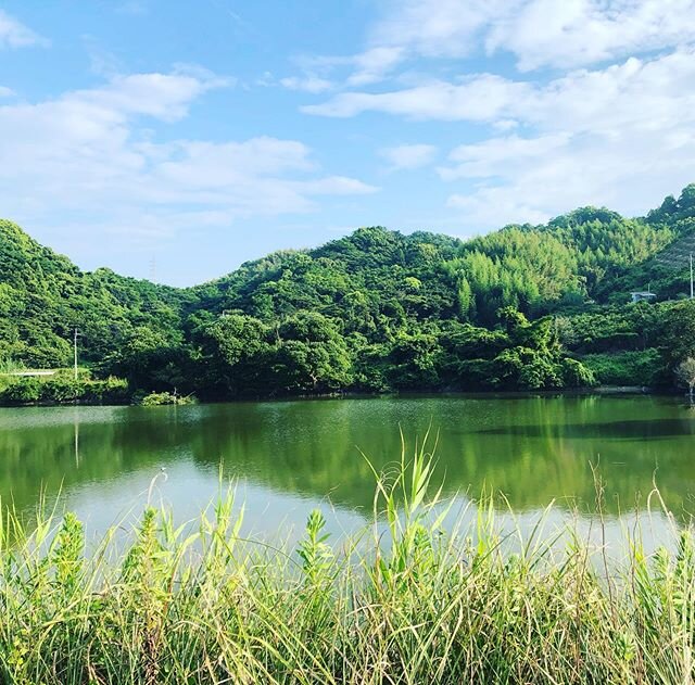 Login 窶｢ Instagram (181095)
