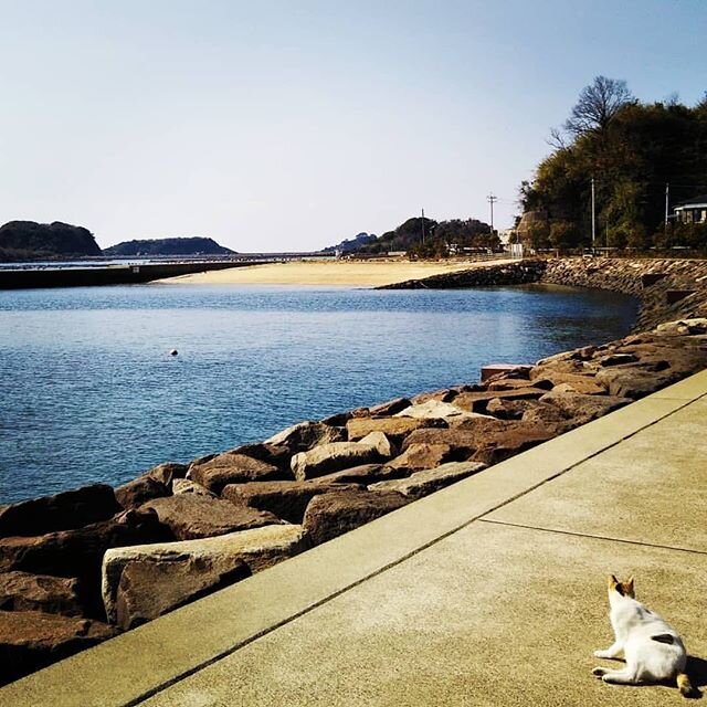Login 窶｢ Instagram (186386)